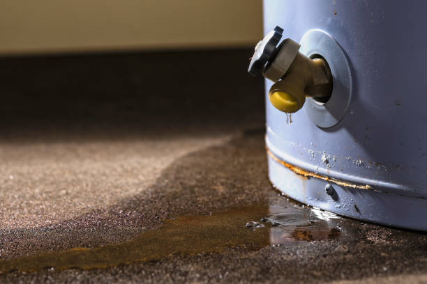 Best Water damage restoration process  in South Beloit, IL