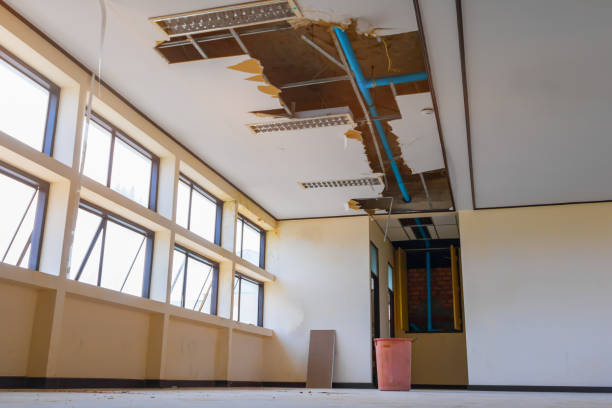 Best Residential water damage restoration  in South Beloit, IL