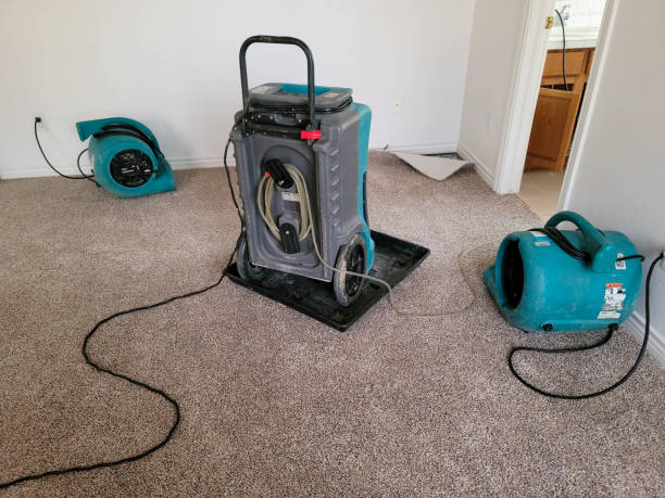 Best Flood restoration services  in South Beloit, IL
