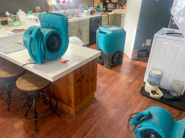Best Water damage restoration near me  in South Beloit, IL